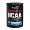 Premium BCAA 8:1:1 + L-GLUTAMINA (500g)